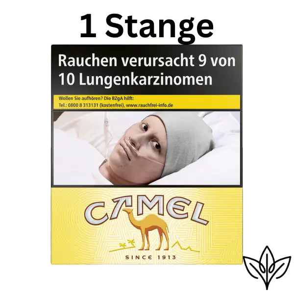 Camel Yellow BP XXL (8x25)